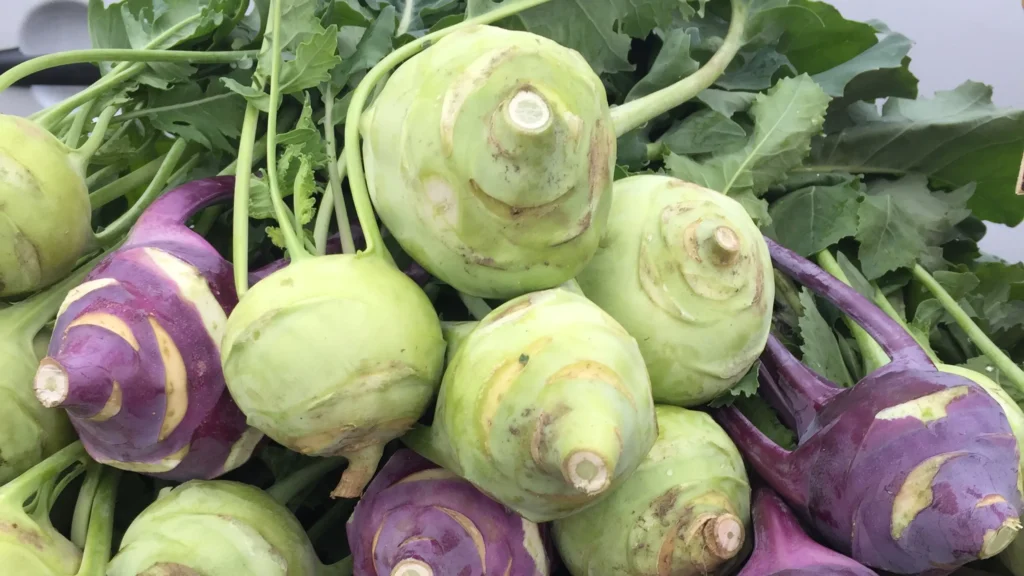 kohlrabi