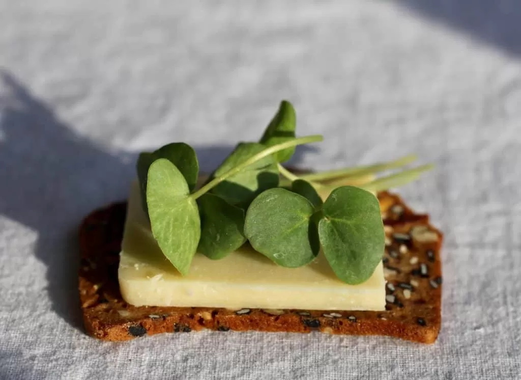 Buckwheat Sprouts 1024x746 1