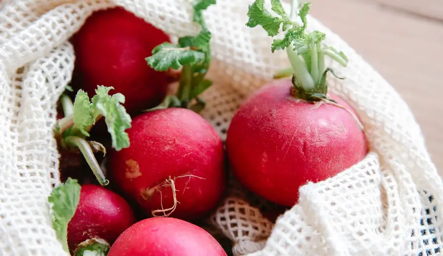 how to tell if radishes are bad
