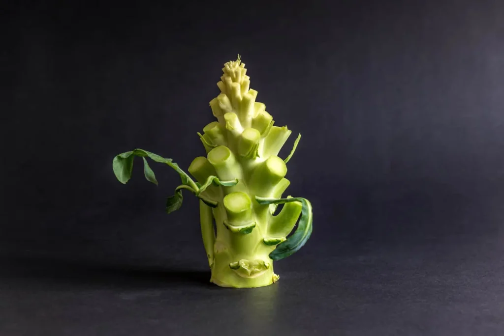 broccoli Stalk.jpg