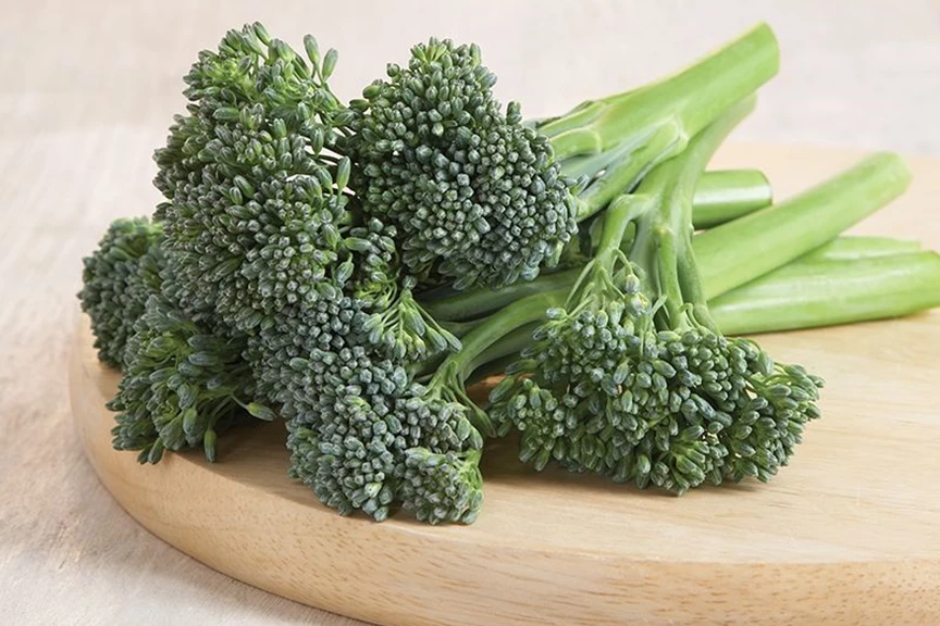 Can You Regrow Broccoli: Best Helpful Tips & Recommendations