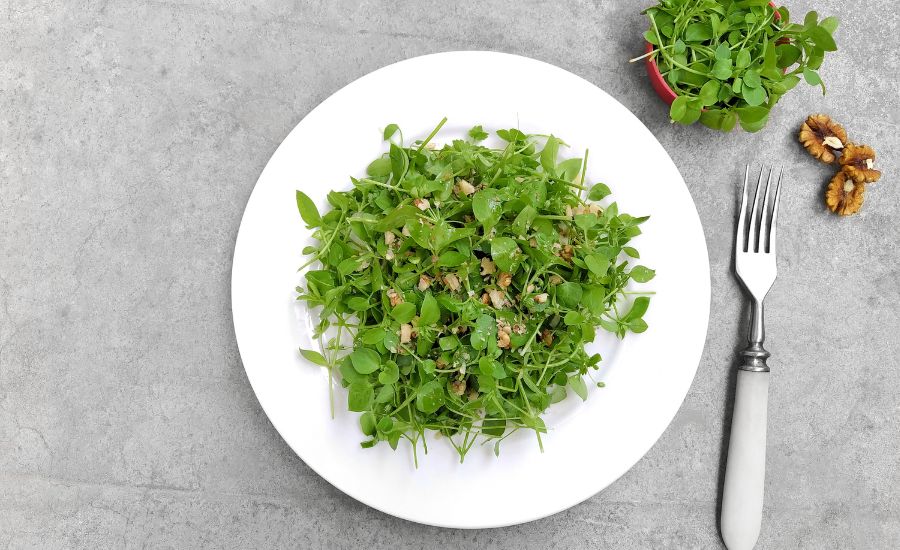 Microgreens are a niche health food