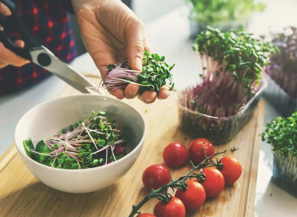 how much microgreens to eat per day
