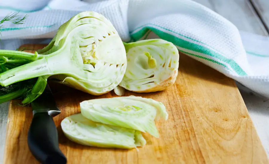 harvest fennel 5