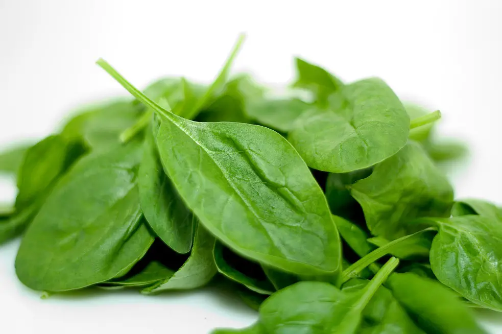 spinach 9