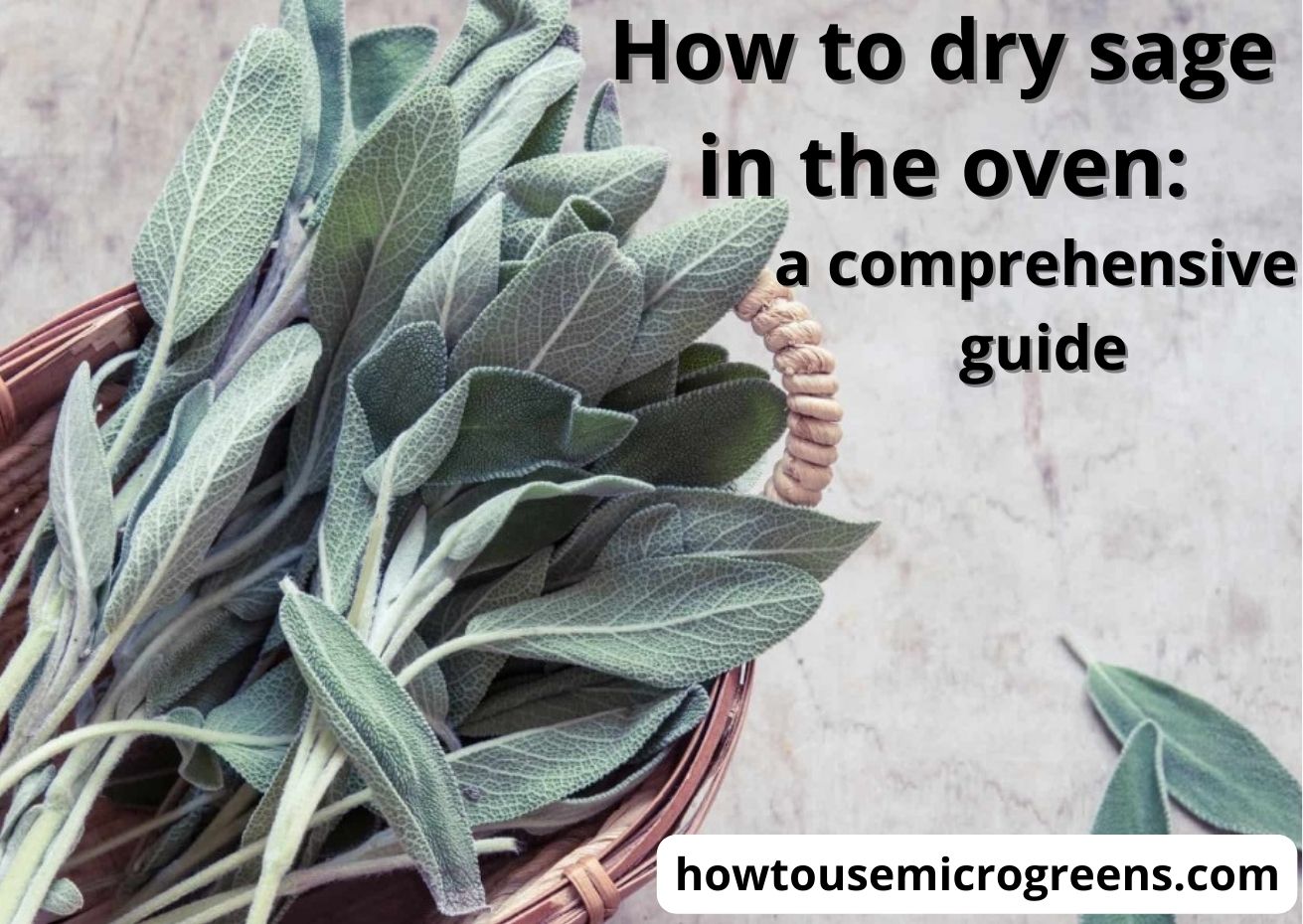 How to dry sage in the oven? 5 steps for the best results