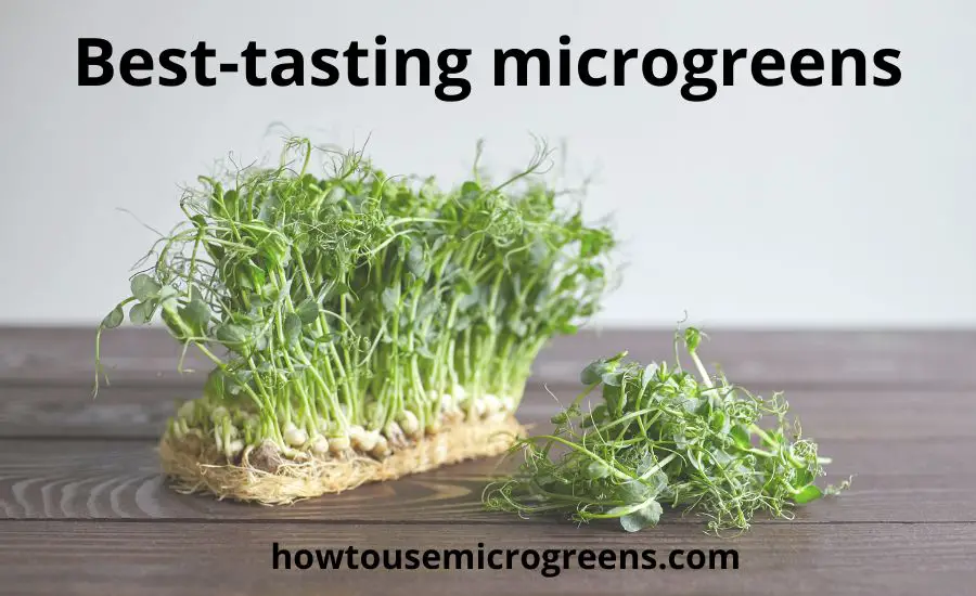 Top 10 the best tasting microgreens: super guide & benefits