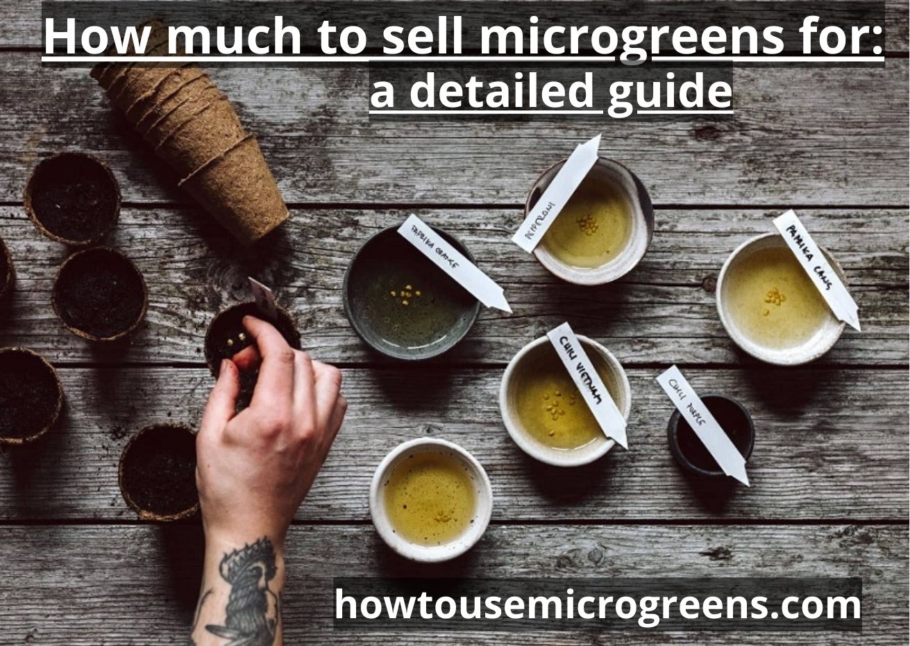 How much to sell microgreens for? The best guide 2023