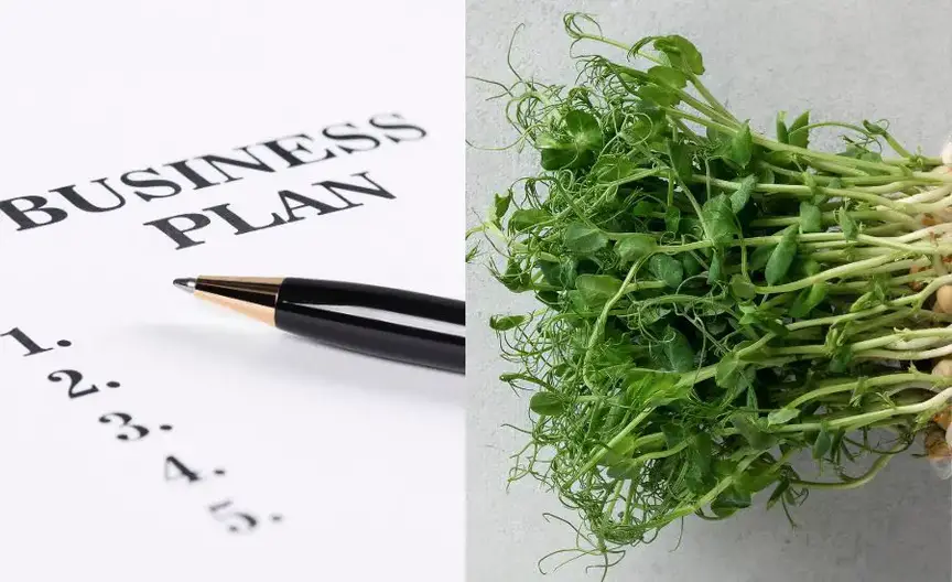 howtousemicrogreens 2